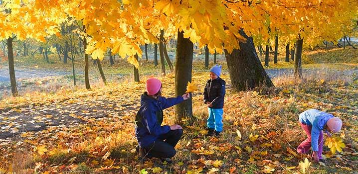Efteraar Mor Og Boern I Skov (1)
